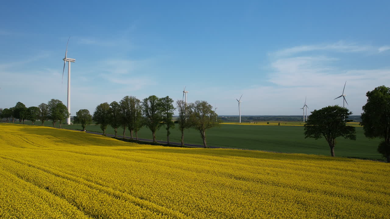 vista aérea hacia adelante de un campo de trigo amarillo con molinos de viento en el fondo