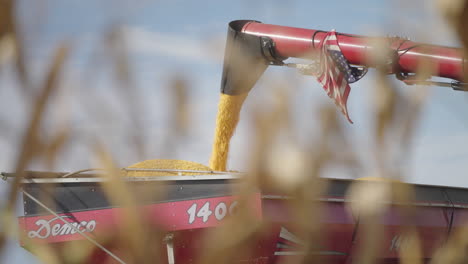 combine harvester chute pouring freshly harvested grain crop into grain bin, slow motion