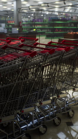 empty shopping carts in a grocery store