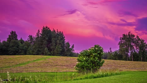 hermoso paisaje de campos y prados al atardecer
