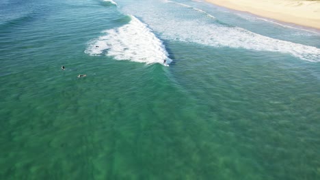 surfistas surfeando en el mar azul con olas perfectas en la playa de buddina en queensland, australia
