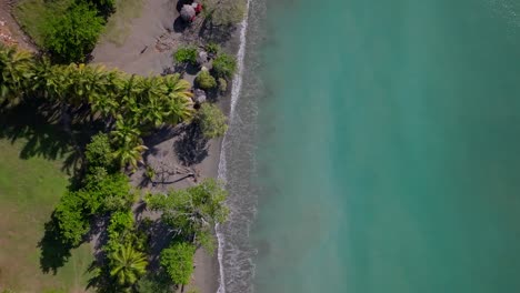 playa de arena oscura con palmeras y olas turquesas que salpican