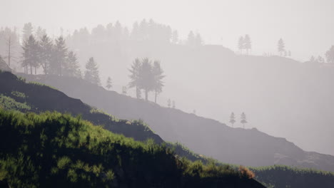 Montañas-Tatras-Cubiertas-Por-Bosques-De-Pinos-Verdes