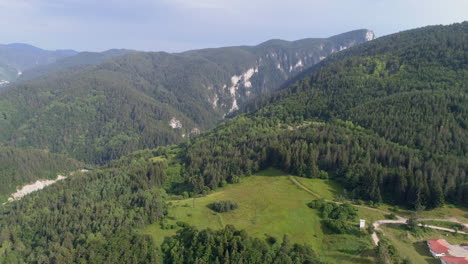 aerial: rocks and mountains covered with dense pine forest