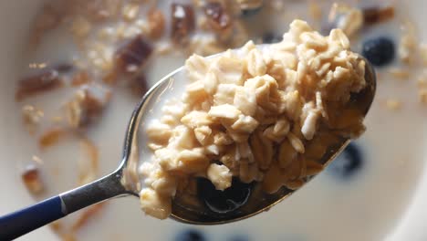 cucharada de avena con arándanos