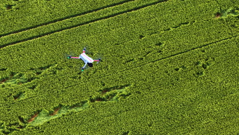 a top-down aerial tracking shot follows a quadcopter drone as it flies over a vast green agricultural field, used for modern precision farming and surveillance