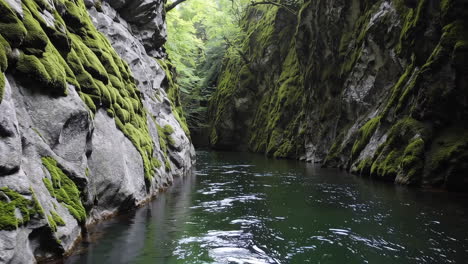 serene mountain river canyon with lush moss
