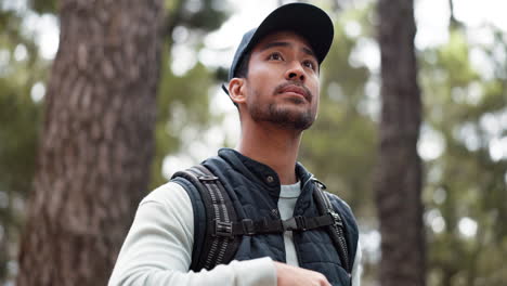 hike, drinking water and man on a nature walk