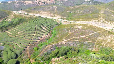 aerial view over rugged landscape, green trees, dry land, portugal, 4k