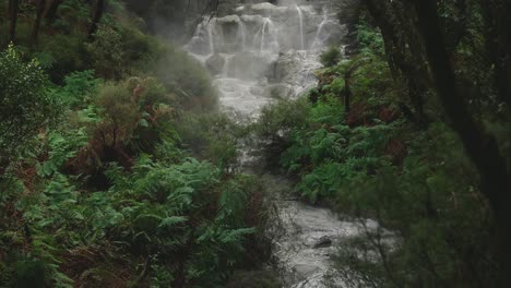 Breathtaking-slow-motion-of-raw-steamy-water-over-rocks-in-New-Zealand-forest-Rotorua,-geothermal-tilt-up
