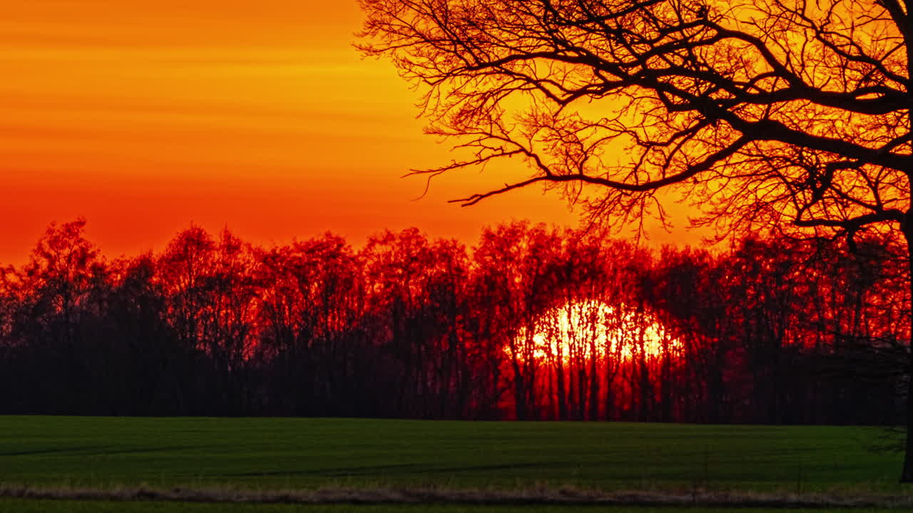 숲 뒤로 내려오는 해가 지면 밝은 둥근 태양