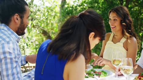 Dos-Parejas-Felices-Disfrutando-Del-Almuerzo