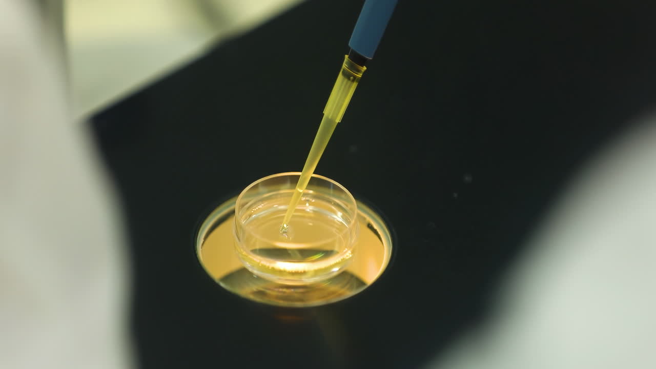 Medical staff or scientist transferring liquid solution samples to tissue culture flask with suction pipette for cell culture assay in biological cabinet on cleanroom environmental facility laboratory