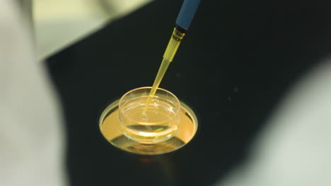 medical staff or scientist transferring liquid solution samples to tissue culture flask with suction pipette for cell culture assay in biological cabinet on cleanroom environmental facility laboratory