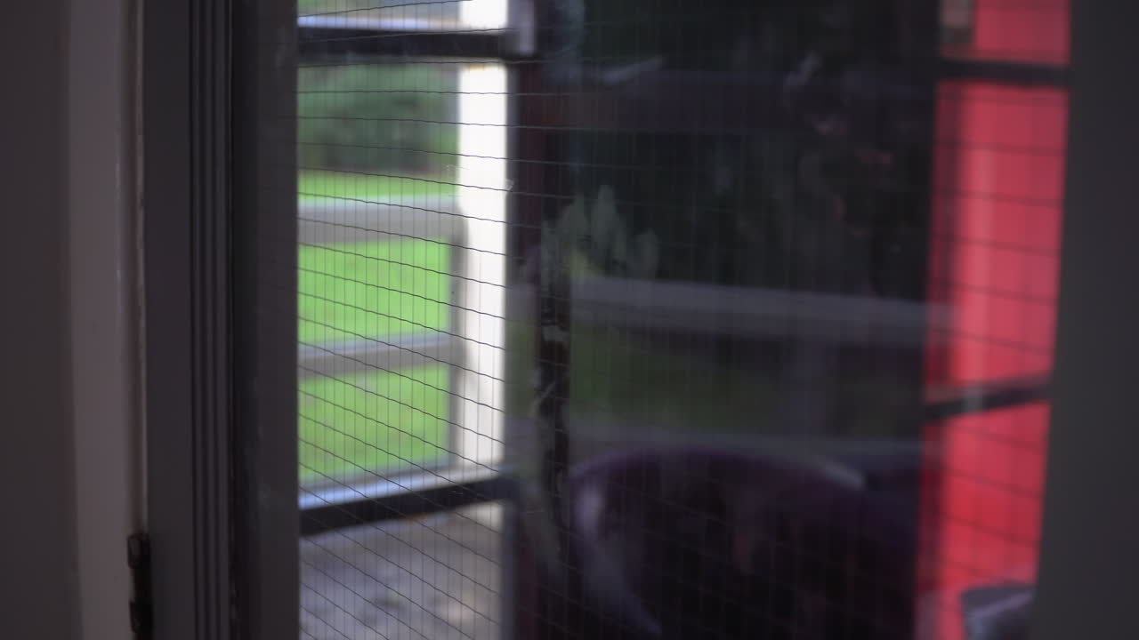 Empty Dorm Room Student, Hostel, Asylum seeker's Accommodation