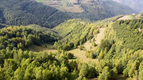summer in apuseni mountains near marisel village in romania