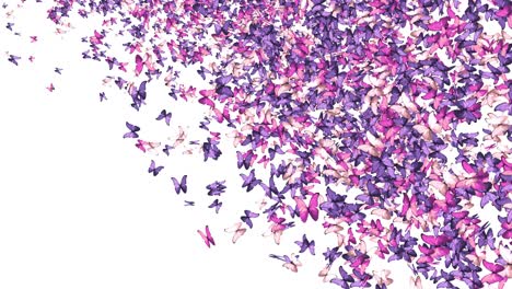 colorful butterflies background