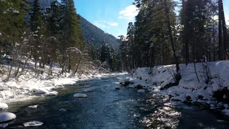 Schöner-Schneeszenenwald-Im-Winter.-Überfliegen-Von-Fluss--Und-Kiefernbäumen,-Die-Mit-Schnee-Bedeckt-Sind.