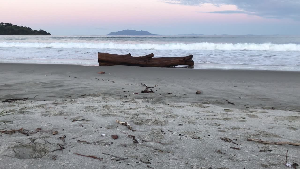 las olas del mar rompiendo en la orilla hacia un tronco de árbol abandonado en la playa en little omaha, auckland, nueva zelanda