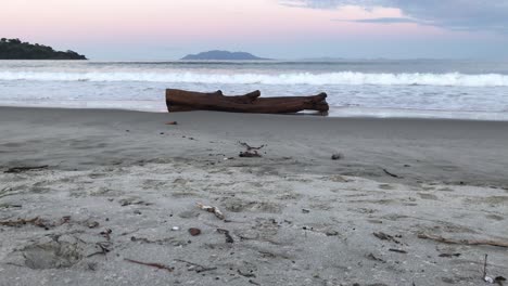 Meereswellen,-Die-In-Richtung-Eines-Verlassenen-Baumstamms-Am-Strand-In-Little-Omaha,-Auckland,-Neuseeland,-In-Die-Küste-Stürzen