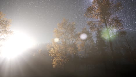 Milchstraßensterne-Mit-Mondlicht