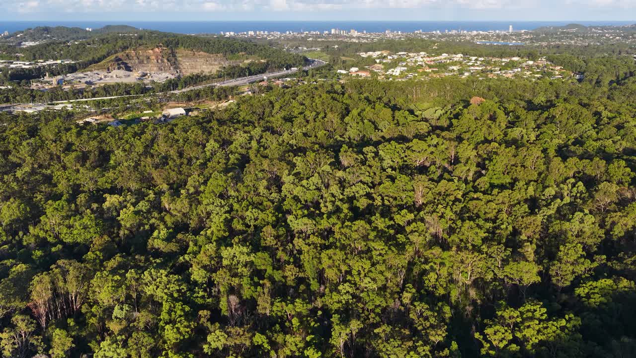 Un drone vola sopra una lussureggiante foresta di eucalipti verde verso la lontana costa dell'Oceano Pacifico.