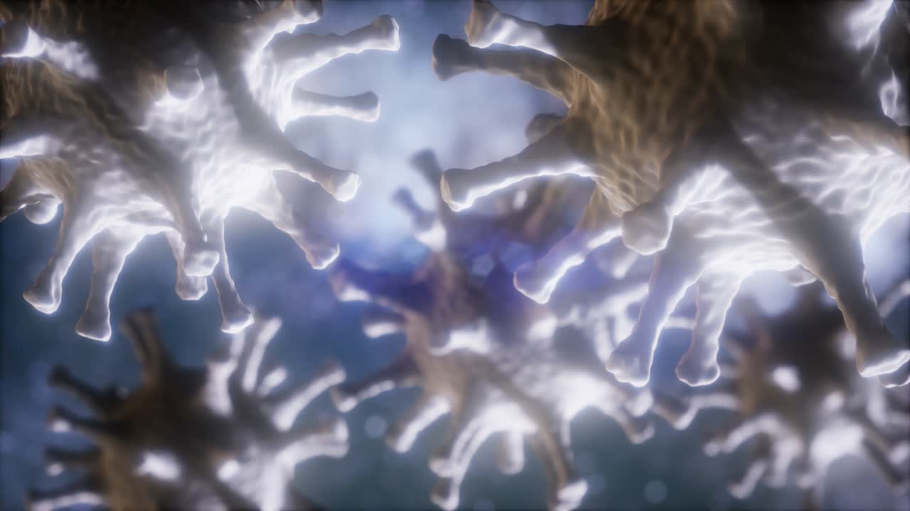 코로나바이러스 코비드-2019의 루프 회전