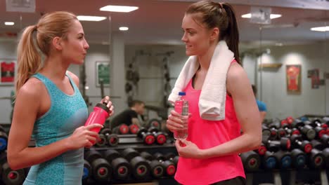 Fit-women-chatting-in-the-gym