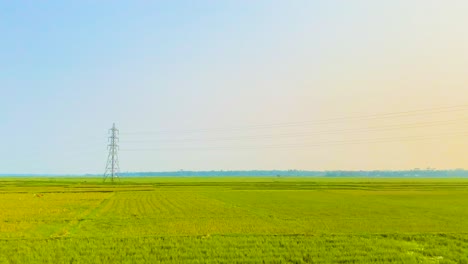 A-View-Of-Verdant-Fields-With-Grazing-Animal-Farm-During-Sunrise