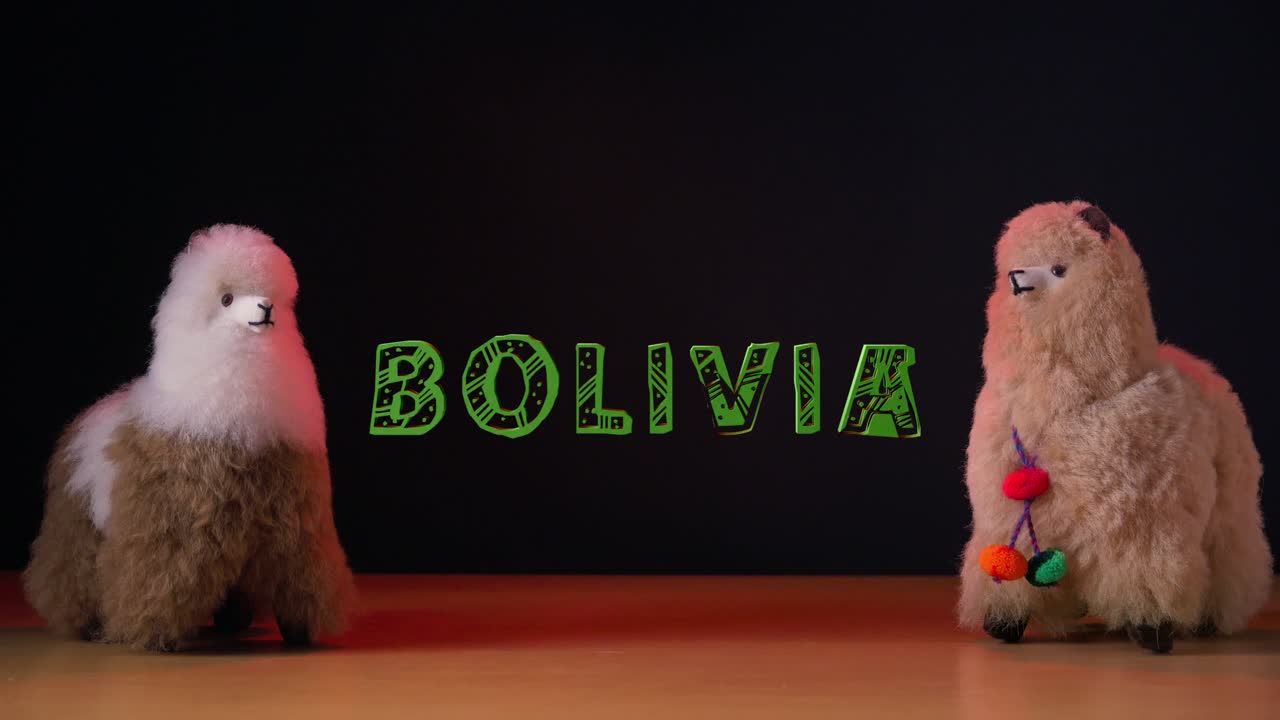 название боливии с милыми плюшевыми ламами