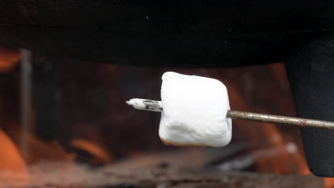 Roasting-a-marshmallow-over-the-flames-of-a-campfire