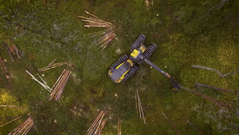 escorpión haciendo trabajo forestal