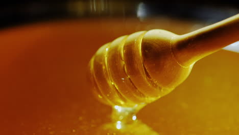 dunk a wooden spoon in honey slow motion video