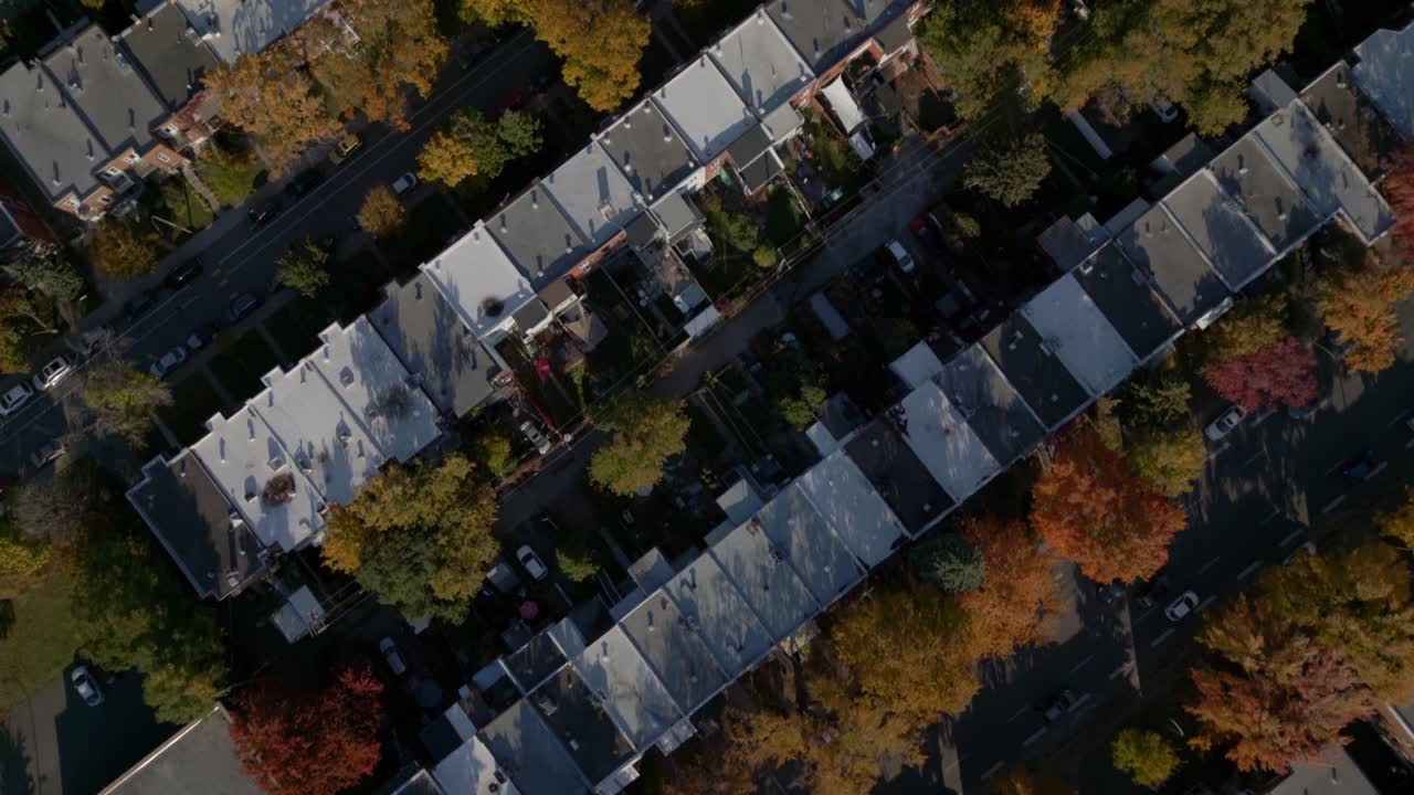 Colorful Trees During Autumn In The City Of Montreal, Quebec Canada. Aerial Topdown Shot