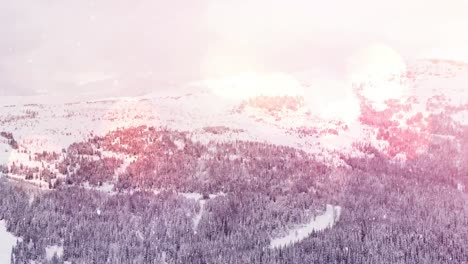 Spots-of-light-against-snow-falling-over-multiple-trees-on-winter-landscape