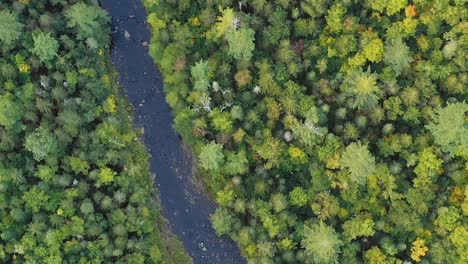 aerial footage flying low above a river in the morning top down