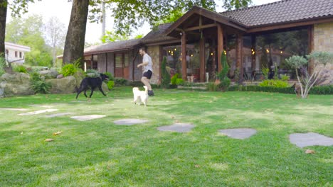 perro y dueño, amor por las mascotas.