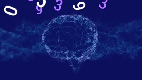 animation of numbers over brain