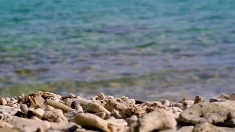 4k-60FPS-slider-shot-of-washed-up-dead-coral-on-Caribbean-beach-with-crystal-clear-blue-sea-in-Curacao