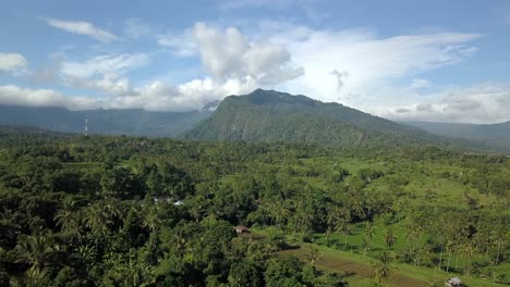 beautiful scenery  in the bali