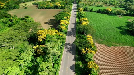 Umrunden-Sie-Die-Schöne-Straße-Zwischen-Bunten-Bäumen-Und-Ackerland