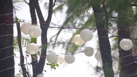 paper lamp lantern shade for decoration  on tree