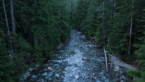 aerial shot of creek river flowing through dense evergreen forest in the pacific northwest