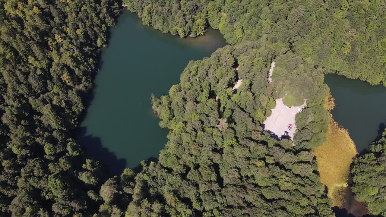 estanque lago bosque natural