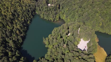 Estanque-Lago-Bosque-Natural