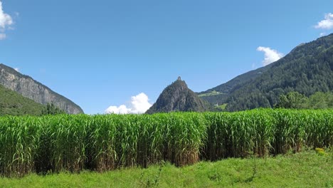 vista escénica sobre tierras agrícolas en austria con castillo en la colina en segundo plano