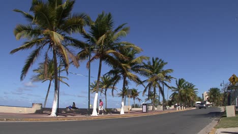 San-Juan-Palmen-Am-Strand-Und-Ein-Auto,-Das-An-Der-Straße-Vorbeifährt