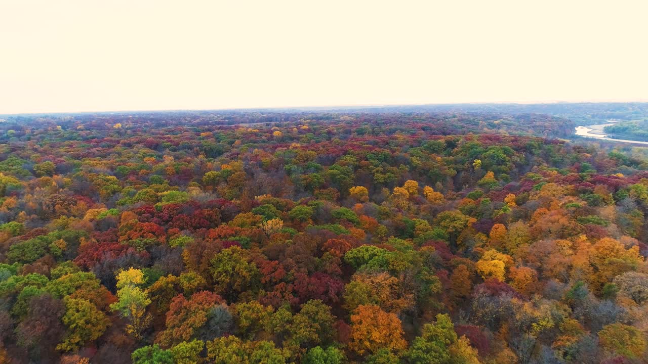 toma aérea de carro inverso de árboles en sus colores otoñales en el parque estatal ledges