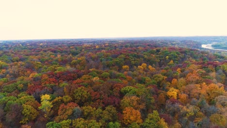 Reverse-dolly-aerial-shot-of-trees-in-their-Fall-colors-at-Ledges-State-Park