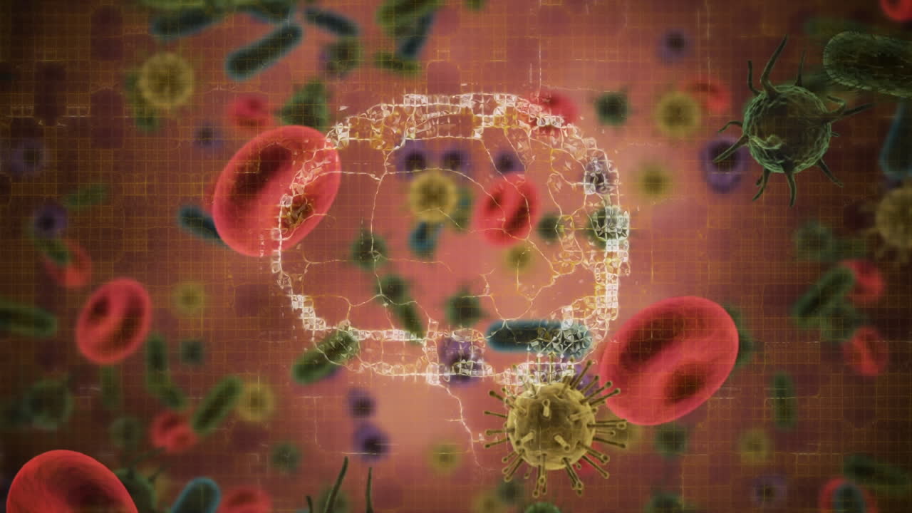 여러 코로나19 세포와 떠다니는 혈관 위에 회전하는 인간의 뇌의 디지털 애니메이션